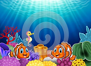 Cute clown fish and Seahorse in beautiful underwater