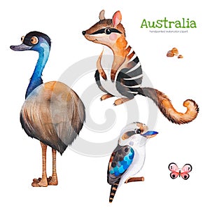 Cute collection with emu,numbat,kookaburra and stones