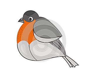 Cute colorful bullfinch. Winter bird. Vector isolated illustration of drawings on a white background. Flat style. For