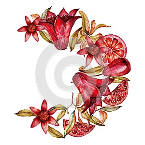 Cute colorful floral pomegranate frame, border on white background for logo, fabric, textile, texture, wrapping paper