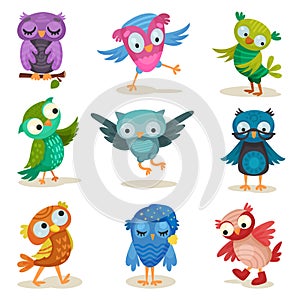 Cute colorful owlets set, sweet owl birds cartoon characters vector Illustrations on a white background