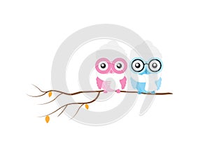 Cute colorful owls on branch in winter, vector isolated on white background, Kids Wall decor