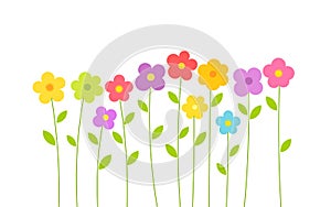 Cute colorful summer flowers on white background