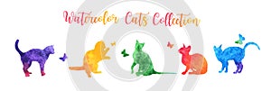 Cute colorful watercolor cat silhouettes playing with butterflies. vector illustration