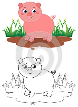 Cute coloring little pig, vector