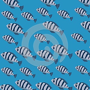 cute colors fishes pattern characters