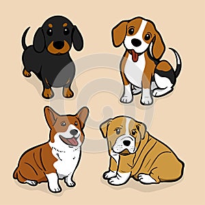 Cute coloured dog amazing vector illustration. Cute cartoon dogs vector puppy pet characters breads doggy illustration photo