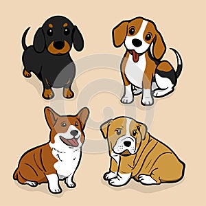 Cute coloured dog amazing vector illustration. Cute cartoon dogs vector puppy pet characters breads doggy illustration