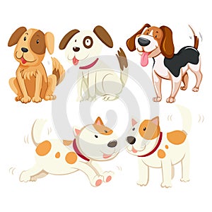 Cute coloured dog breeds amazing vector dog. Different kind of puppy dogs illustration coloured vector design.