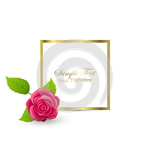 Cute Congratulation Postcard with Rose Bloom Bud