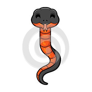 Cute copperbelly water snake cartoon