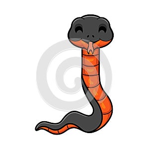 Cute copperbelly water snake cartoon