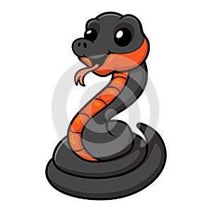 Cute copperbelly water snake cartoon