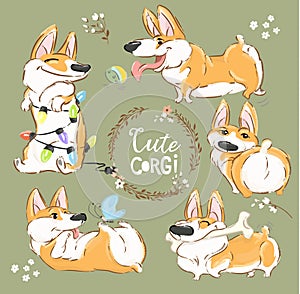 Cute Corgi Dog Character Cartoon Vector Set. Funny Short Fox Pet Group Smile, Play with Ball and Bone. Cheerful Happy