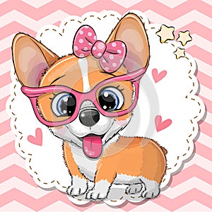 Cute Corgi dog girl in pink eyeglasses photo