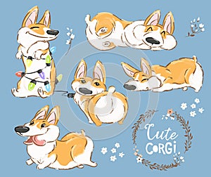 Cute Corgi Dog Puppy Play Vector Set. Funny Fox Pet Character Collection. Awesome Happy Brown Doggy Isolated on Blue