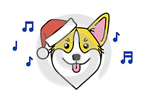 Cute corgi dog in santa claus hat sings carols