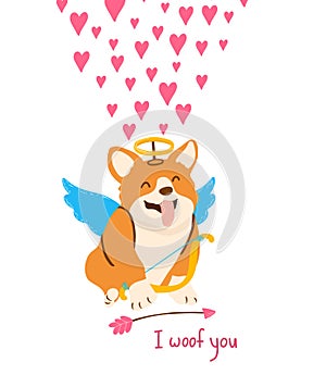 Cute corgi dog for Valentine day postcard.