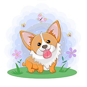 Cute corgi in the grass. Vector illustration