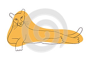 Cute cougar laying down hand drawn illustration.