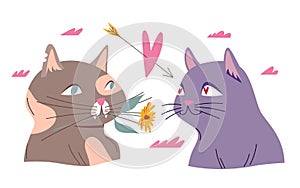 Cute couple of cats on romantic date, kitty holding flower in teeth, giving love gift