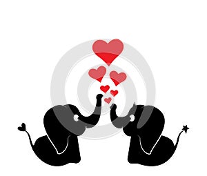 Cute couple elephants silhouettes with hearts on their trunk illustration, vector