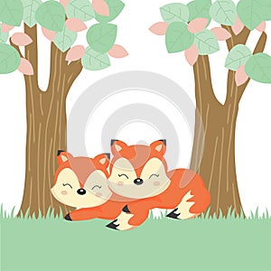 Cute couple foxes in the forest.