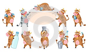 Cute cow cartoon character set, flat vector isolated illustration. Dairy industry, agriculture.
