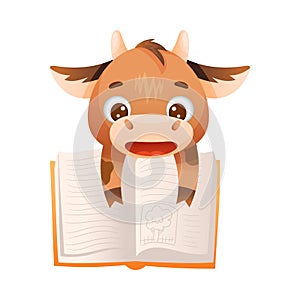 Cute Cow Reading Book in Hard Cover Enjoying Interesting Story Vector Illustration