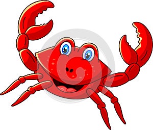 Cute crab cartoon