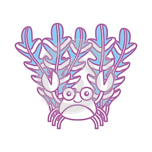 Cute crab with seaweed sealife character