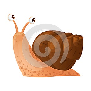 Cute Crawling Snail Shelled Gastropod with Antenna as Home Pet Animal Vector Illustration