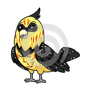 Cute crested barbet bird cartoon