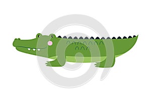 Cute Crocodile Baby Animal, Exotic Tropical Amphibian Animal Vector Illustration