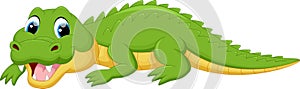 Cute crocodile cartoon