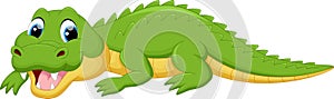 Cute crocodile cartoon photo