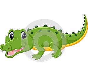 Cute crocodile cartoon photo