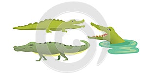 Cute Crocodile set. Alligator vector cartoon illustration