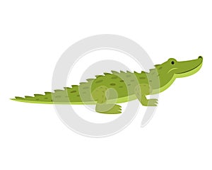 Cute crocodile on white background.