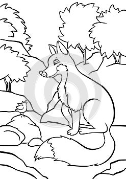 Cute cunning fox sitting in the forest and looking at the singing bird