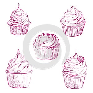 Cute cupcakes set isolated on White background. Vector illustration. cupcake vector sketch on a white background