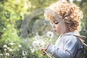 Cute curly child girl looking like dandelion blowing dandelion in summer park in sunny day with sunlight