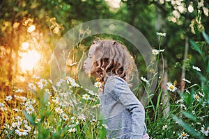 Cute curly child girl smells flower on summer field