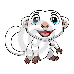 Cute cuscus cartoon on white background