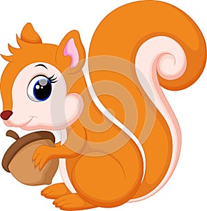 Cute Cute squirrel cartoon photo