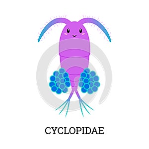 Cute cyclopidae plankton, cartoon flat vector illustration isolated on white background.