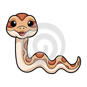 Cute daboia russelii snake cartoon