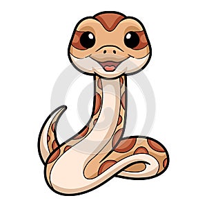 Cute daboia russelii snake cartoon