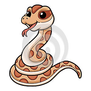 Cute daboia russelii snake cartoon