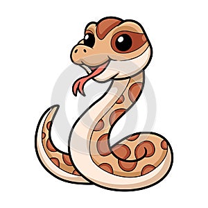Cute daboia russelii snake cartoon